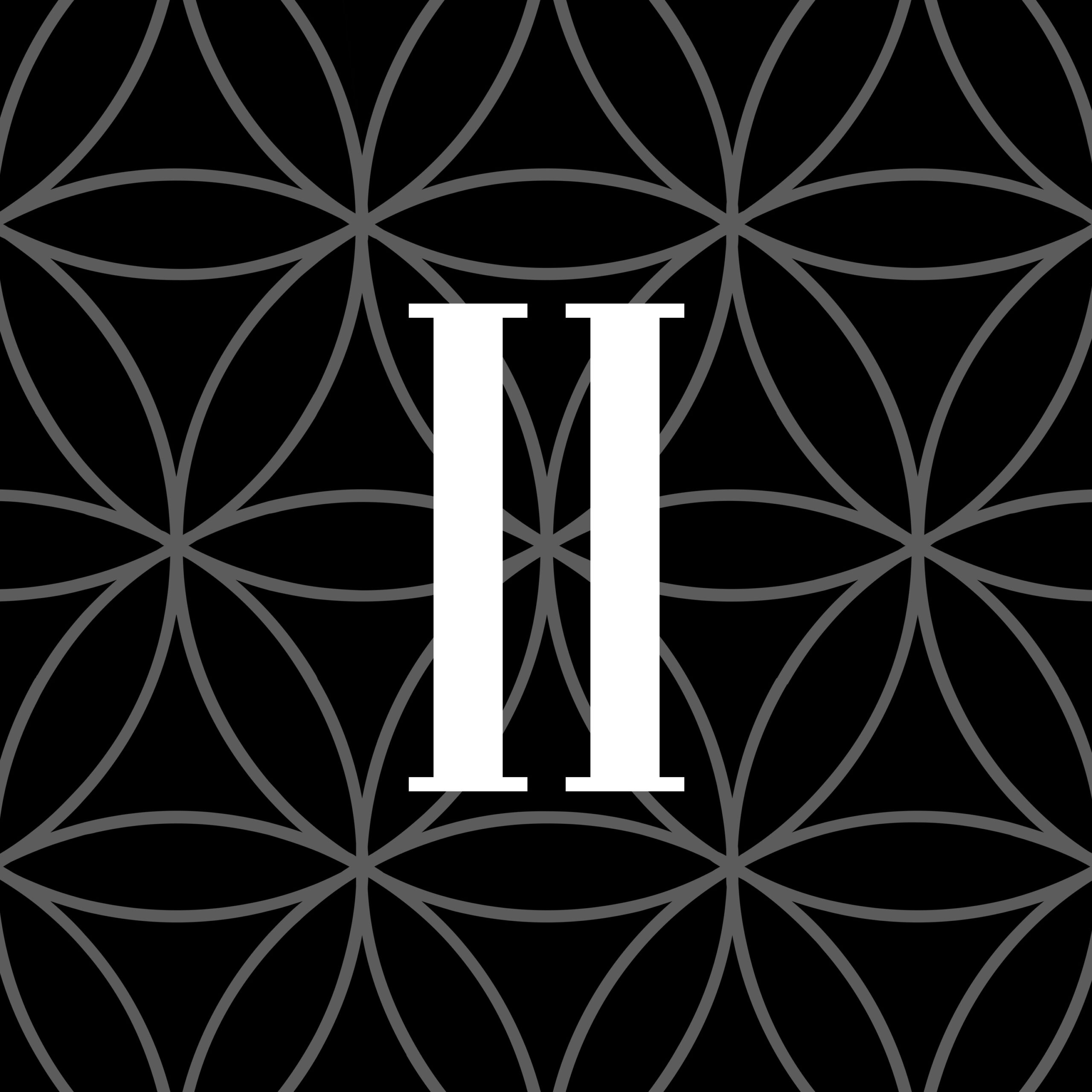 Husa & Zeyada – The End